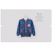 Кофта для мальчика (с начесом) кф160 Бемби-осень 