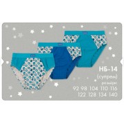 Трусы для мальчика набор НБ14 (ребана) Бемби