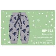 Брюки спортивные для мальчика ШР522 (трикотаж двунитка)Бемби