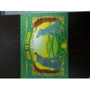 Вовк та собака.Книжка-розкладайка